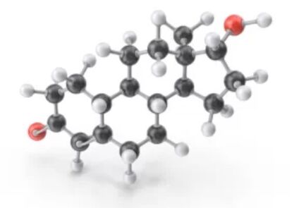 Brand Fungeent Brand contains clotrimazole